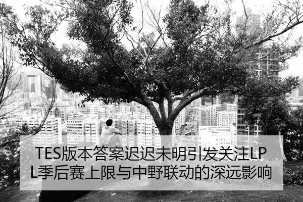 TES版本答案迟迟未明引发关注LPL季后赛上限与中野联动的深远影响