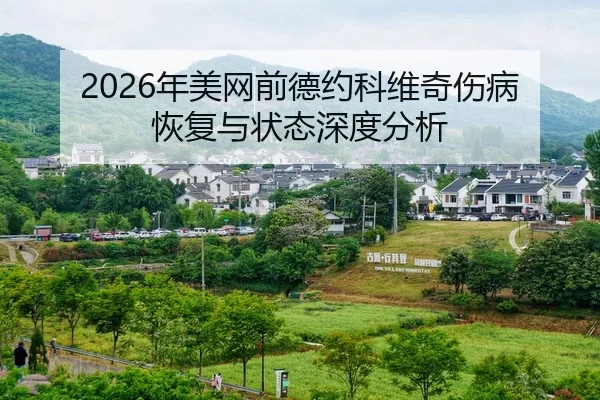 nian-mei-wang-qian-de-yue-ke-wei-qi-shang-bing-hui-fu-yu-zhuang-tai-shen-du-fen-xi-2-269.jpg