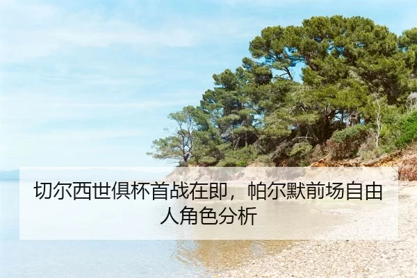 qie-er-xi-shi-ju-bei-shou-zhan-zai-ji-pa-er-mo-qian-chang-zi-you-ren-jue-se-fen-xi-2-857.jpg