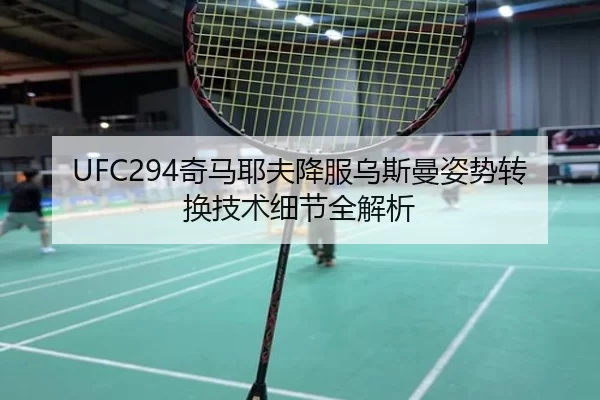 UFC294奇马耶夫降服乌斯曼姿势转换技术细节全解析