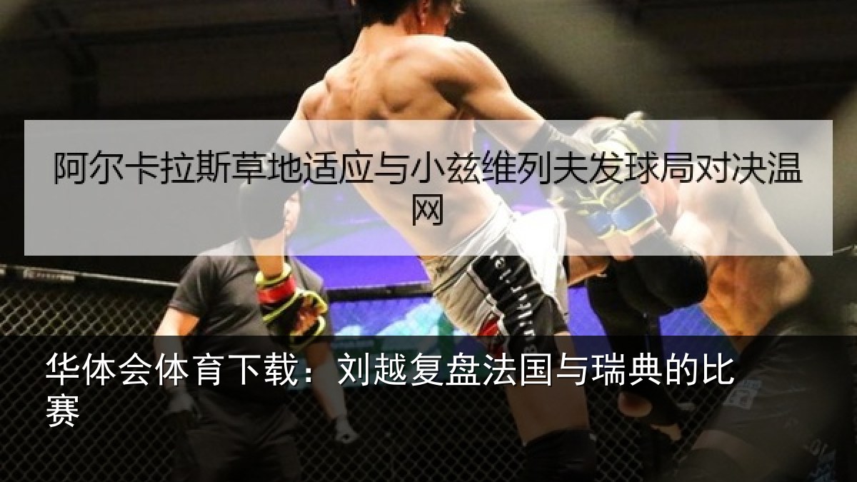 华体会体育下载:刘越复盘法国与瑞典的比赛