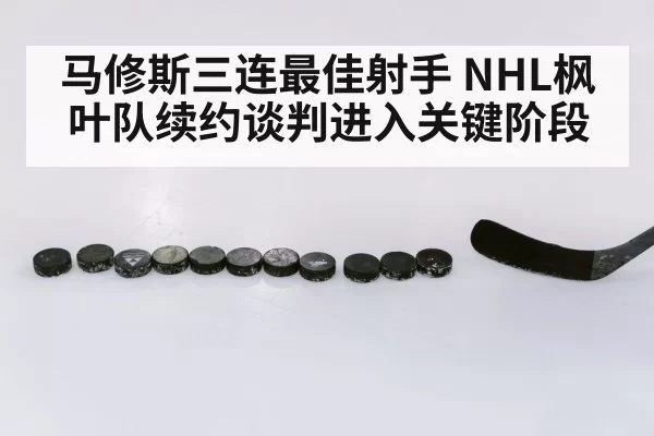 NHL ice hockey game